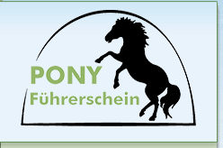 Pony Fuehrerschein